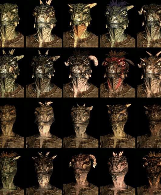 Facial Variants of Argonians (Source: Elder Scrolls Wikia)