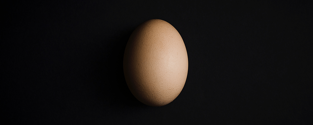 Egg in Black Background