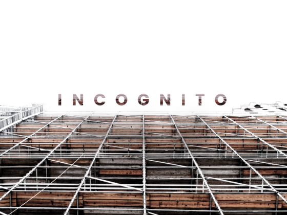 Issue.18: Incognito